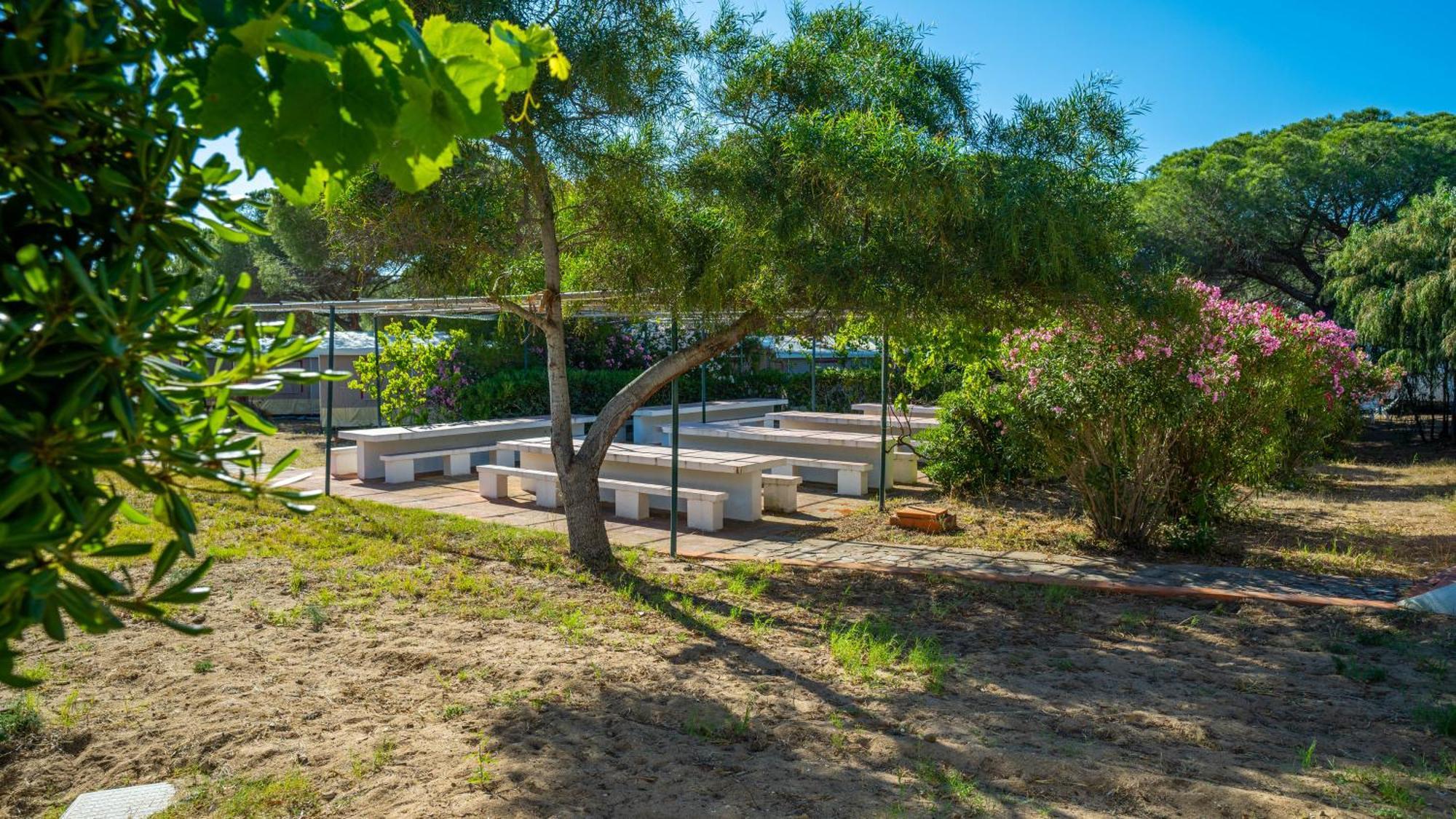 Happy Camp Mobile Homes In Camping Village Baia Paradiso Badesi Exterior photo